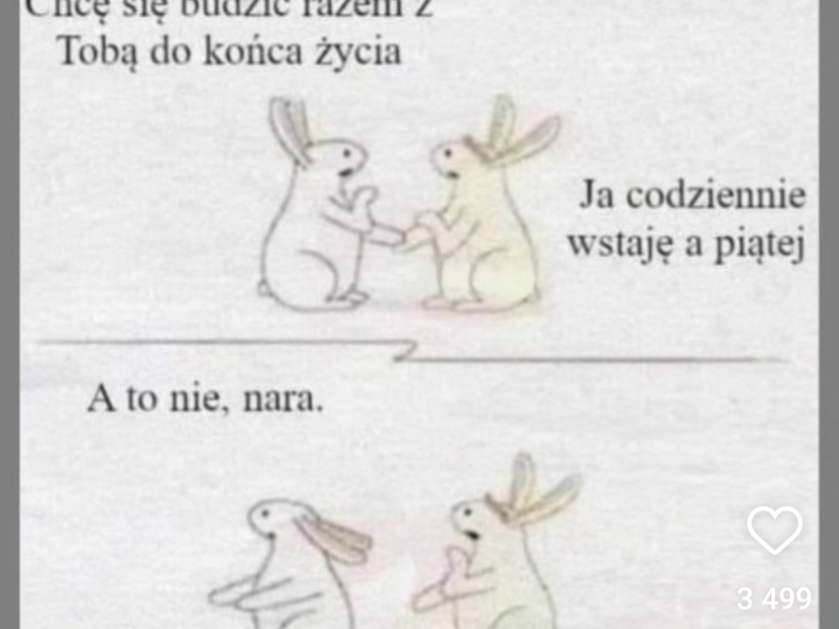 Męskie deklaracje