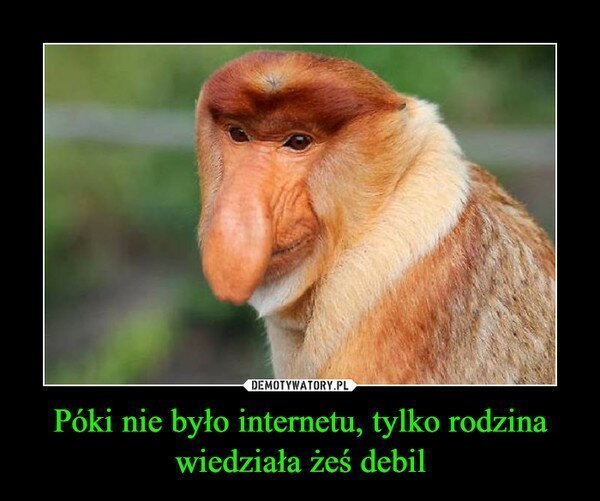 Z cyklu " penisem w oczodół 