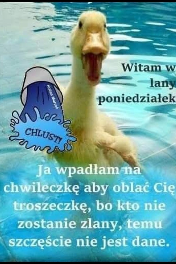 Krejzolka
