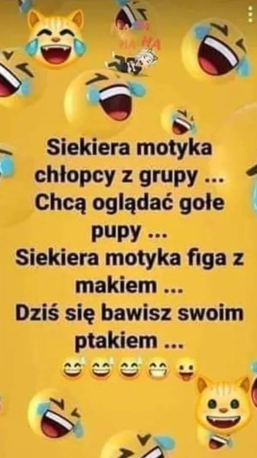Krejzolka