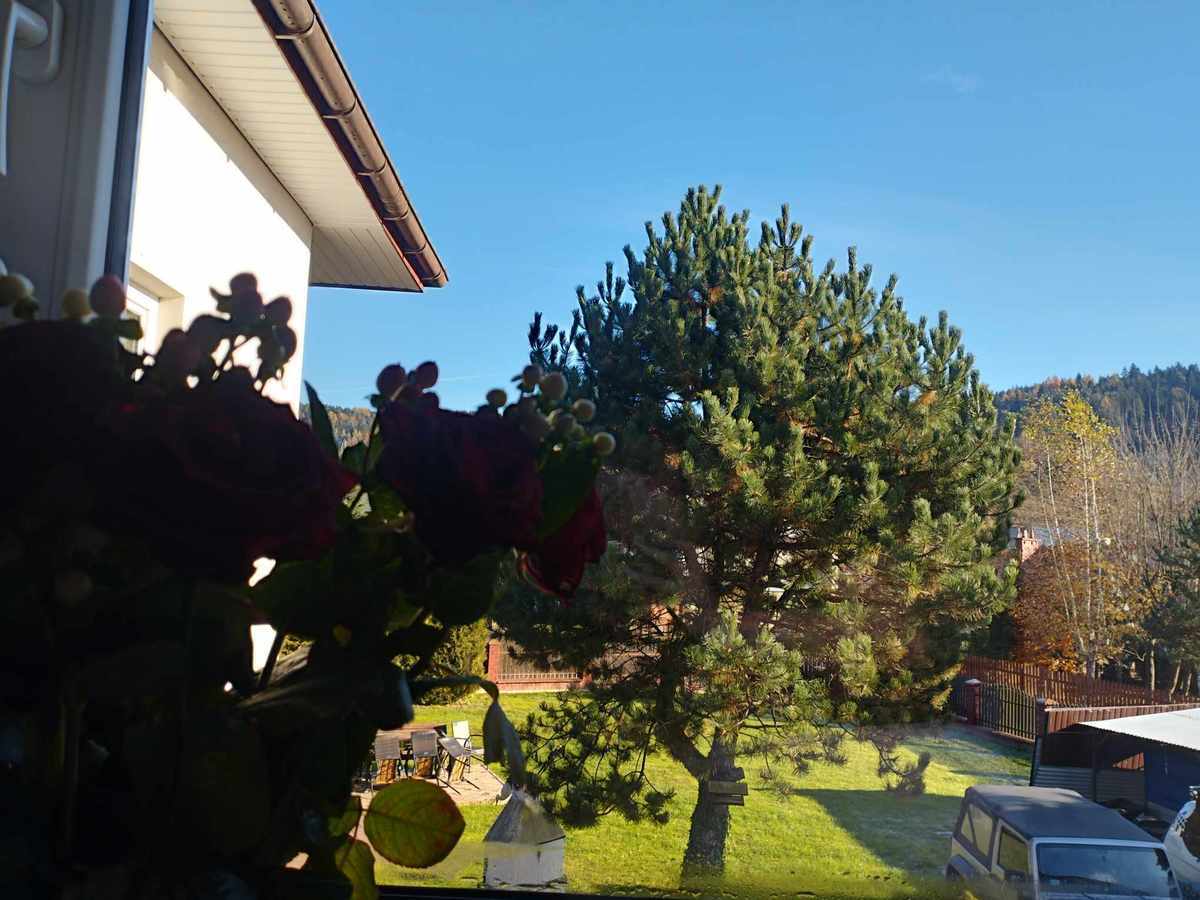 Dla Herezji i Noela