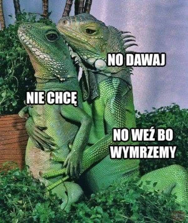 Miłego wieczoru