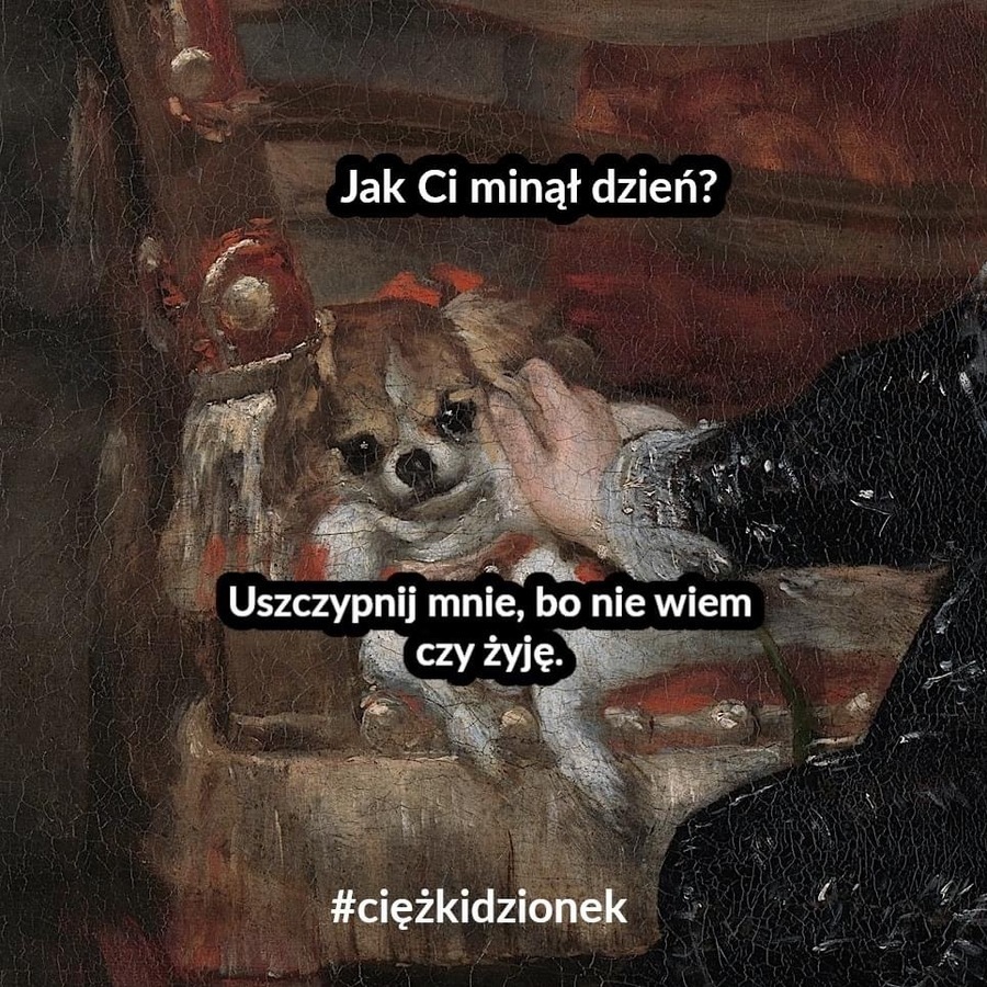 Kolejny dzień za nami…☀️☀️☀️