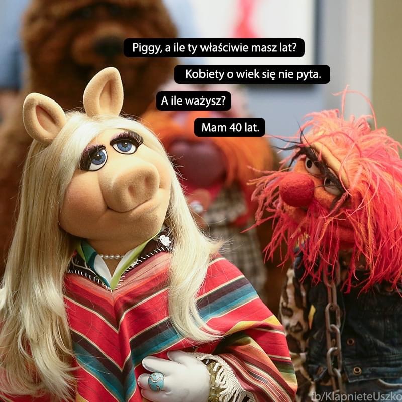 Wypisz wymaluj…😂😂😂