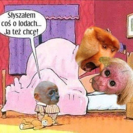 No to pytanie…wieczorne 😎
