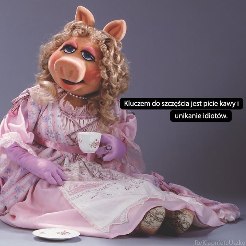 Gdzie to dawne forum?