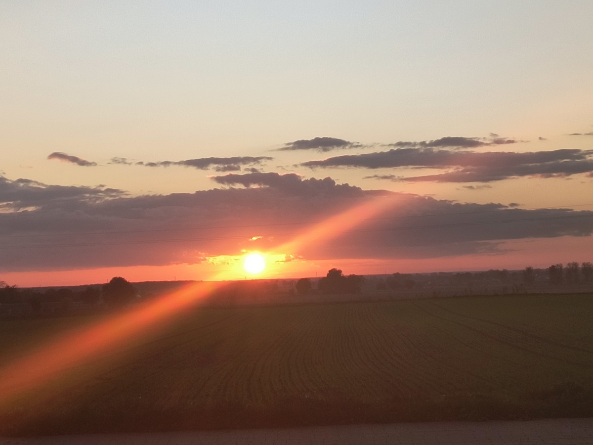 Pięknie.