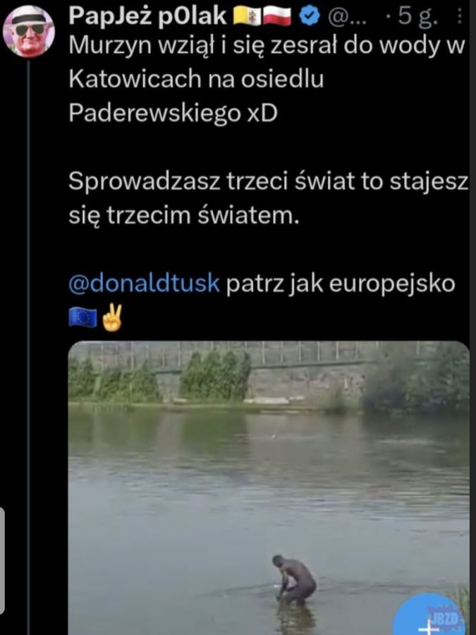 Zwierzęta...