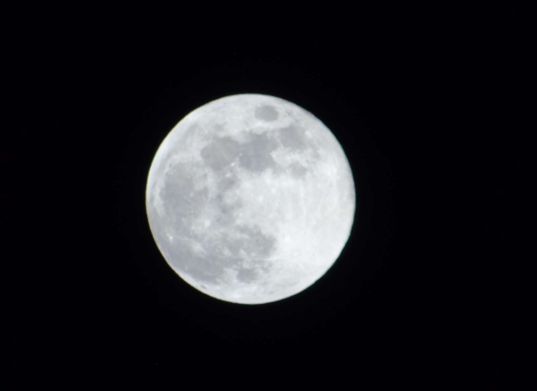 🌛🌜