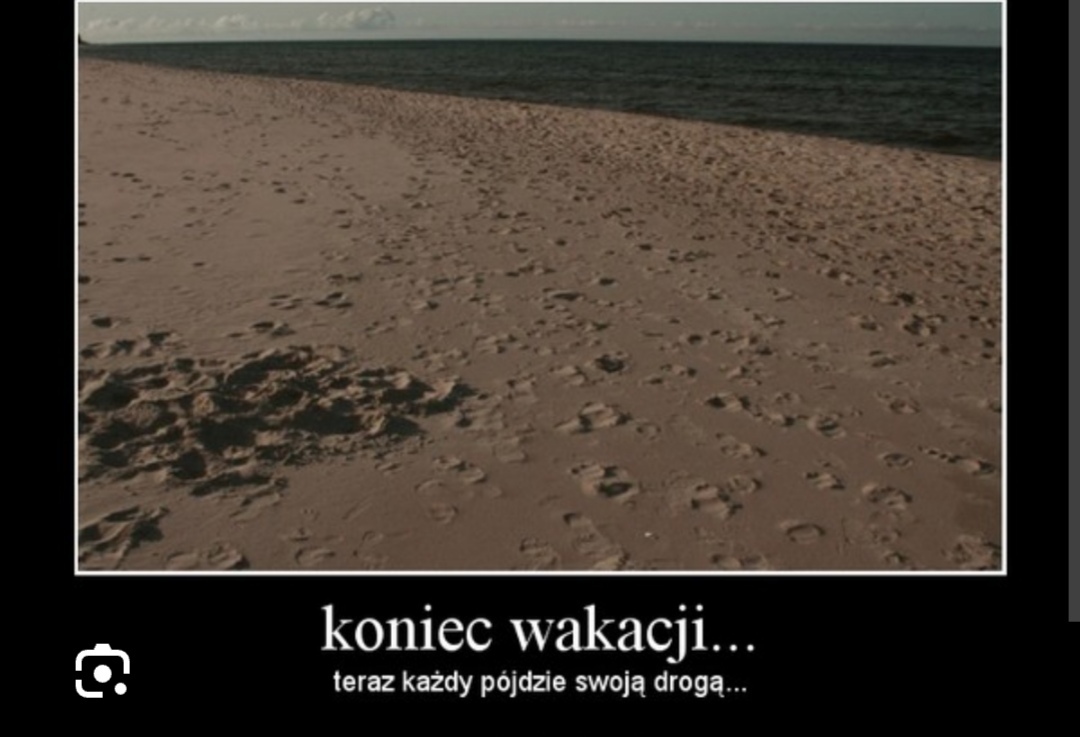 Czy