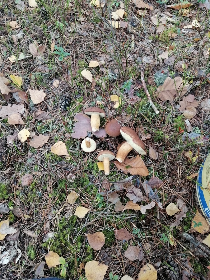 Sprawa jest 