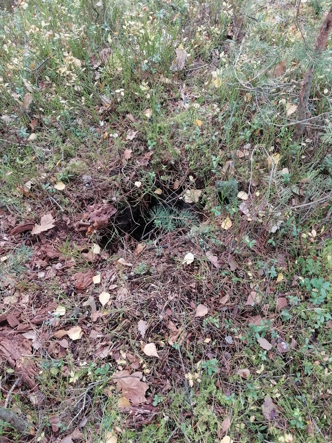 Sprawa jest 