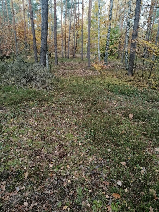 Sprawa jest 