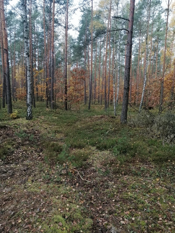 Sprawa jest 