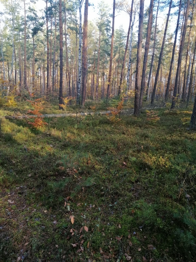 Sprawa jest 