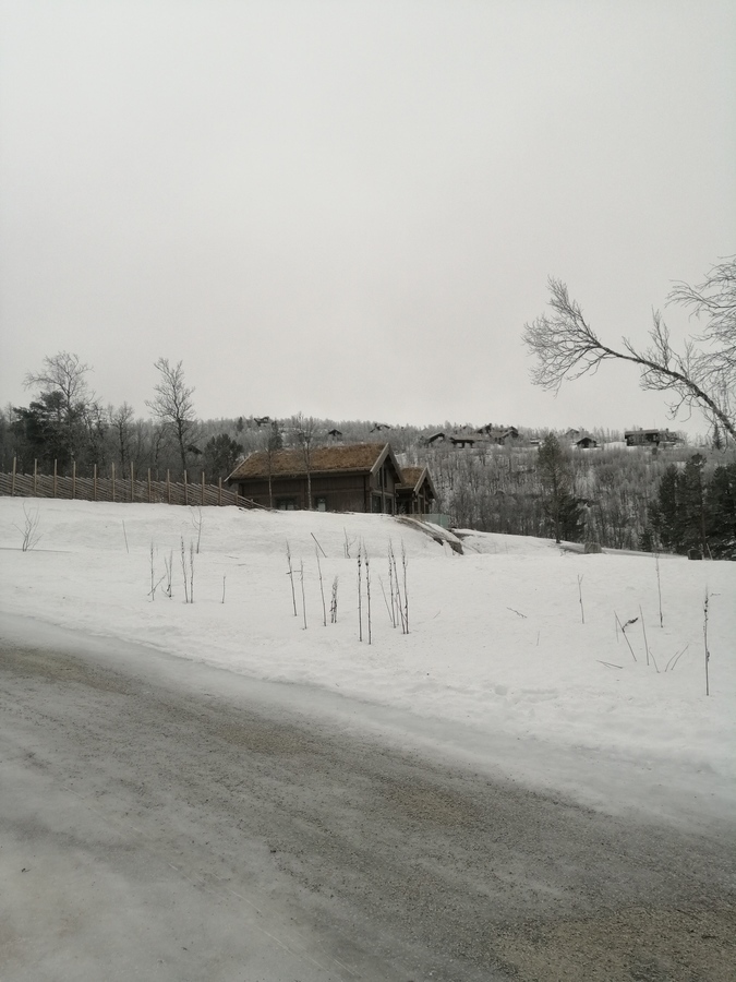 Motyw 