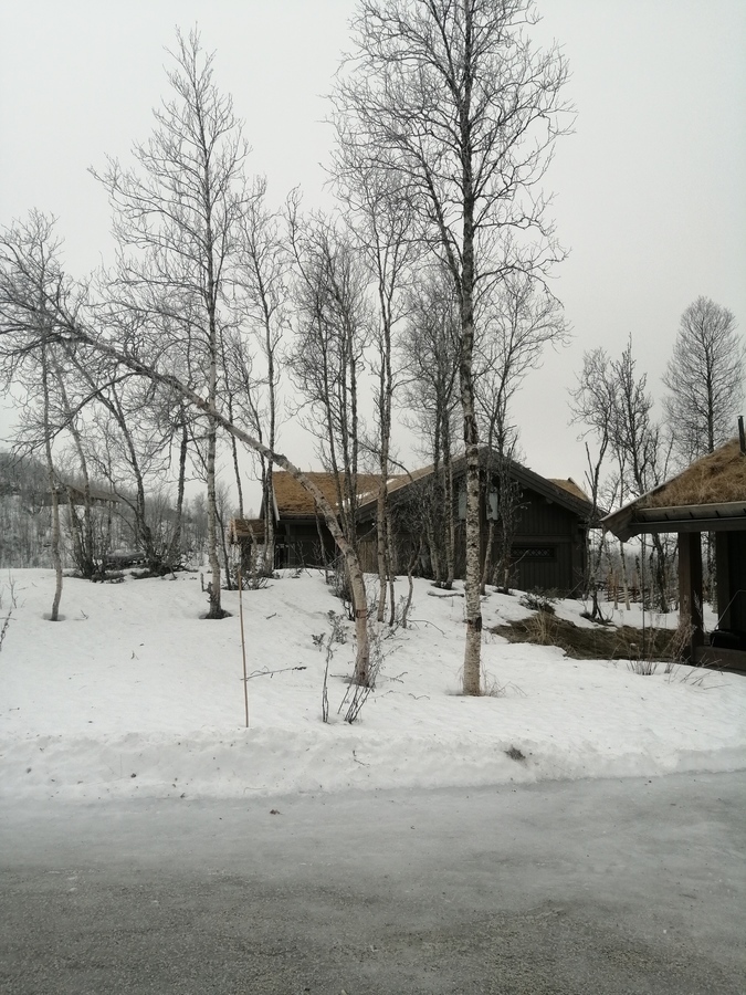 Motyw 