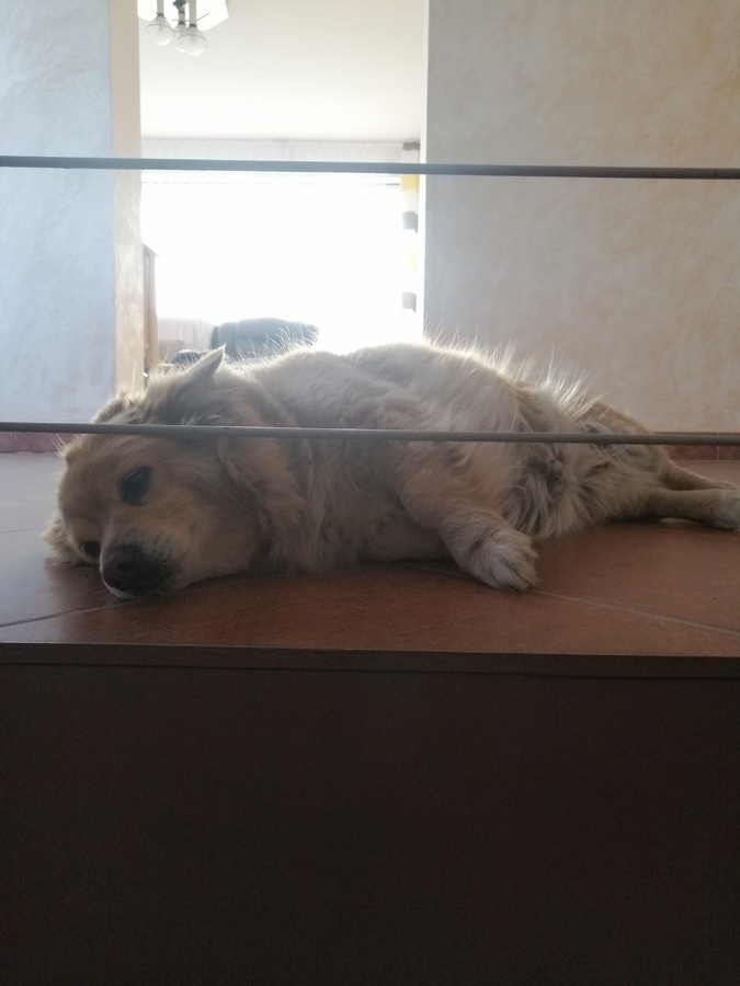 My