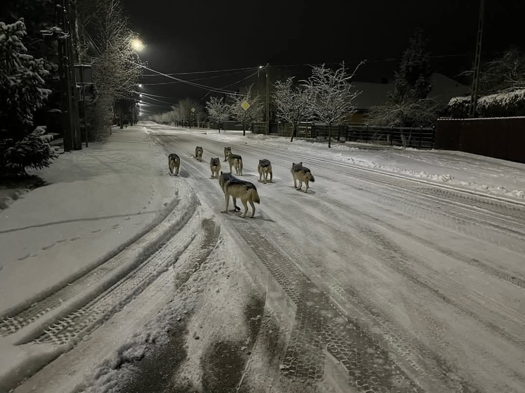 Hmmm