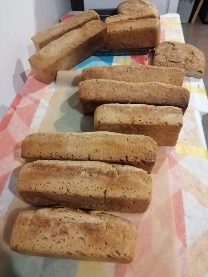 Od dzisiaj 