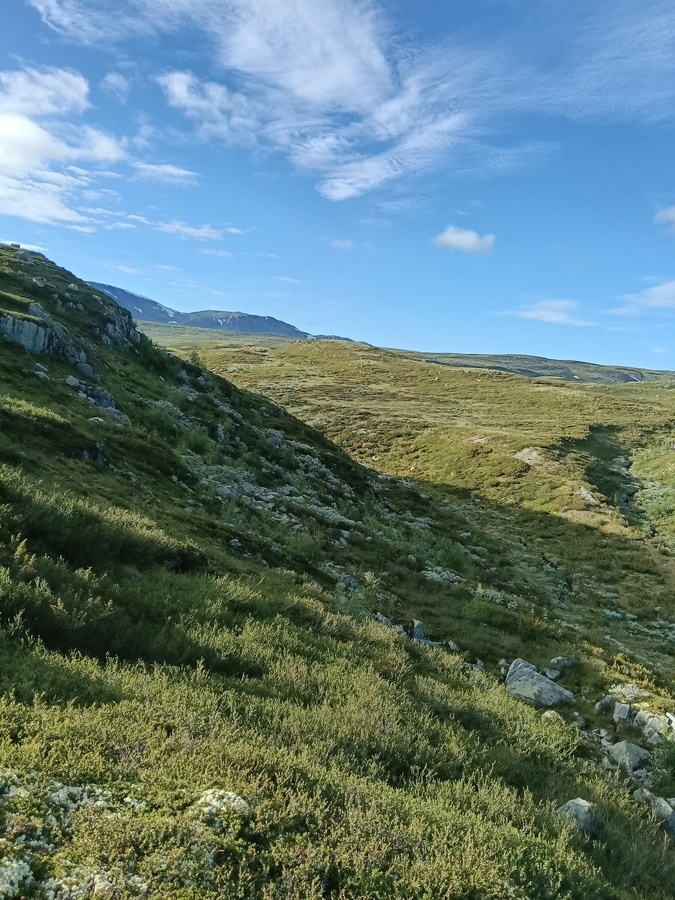 Ustaoset