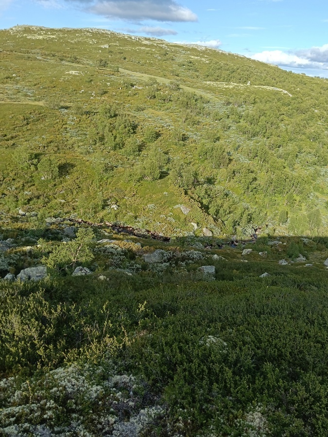 Ustaoset