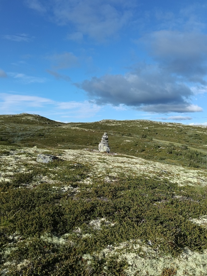 Ustaoset