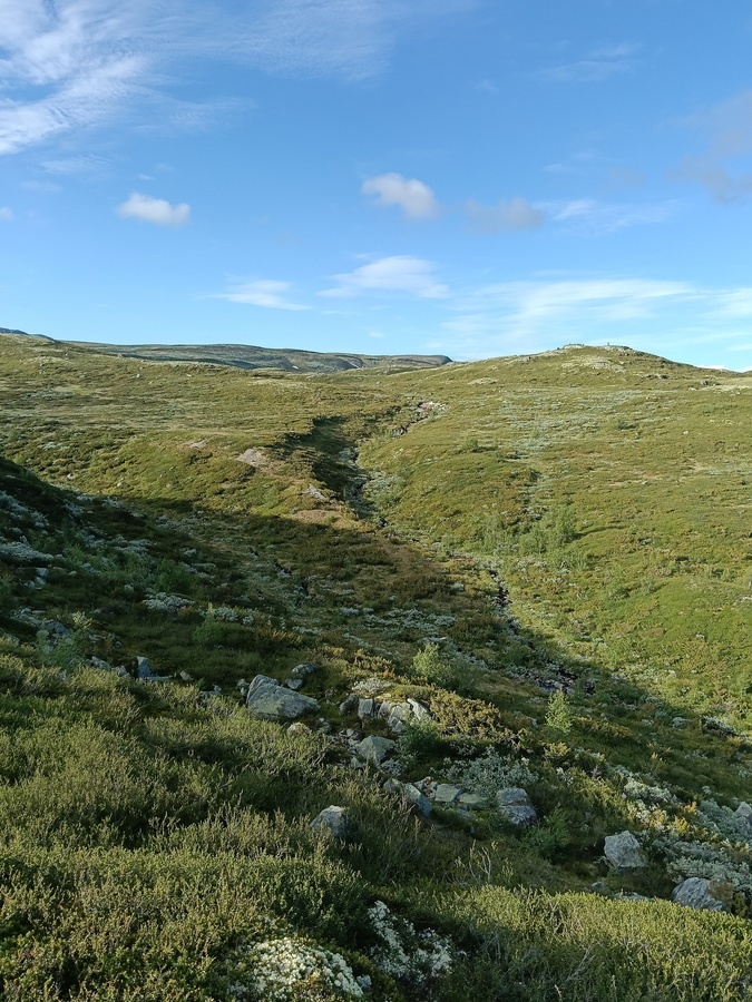Ustaoset