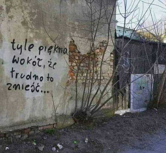 Palant 
