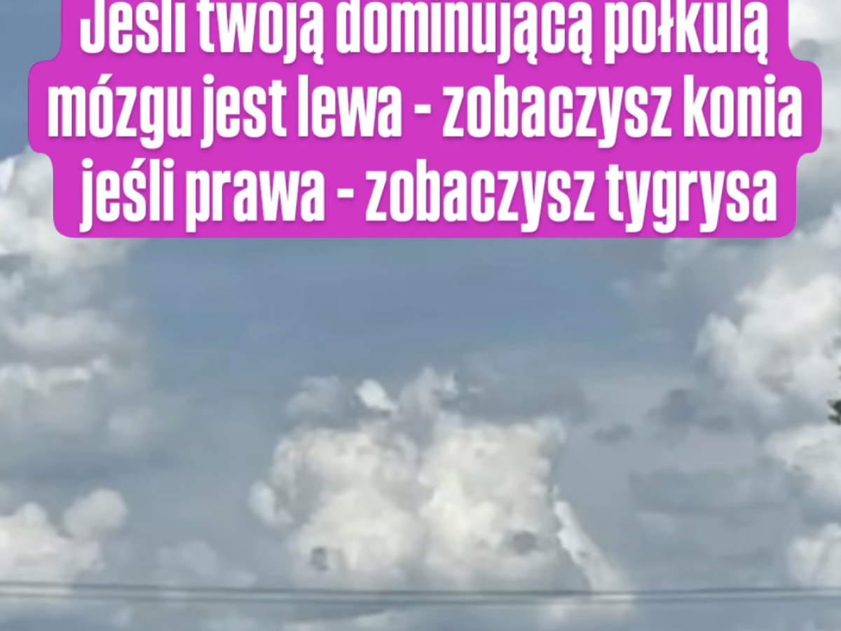 Także ten 