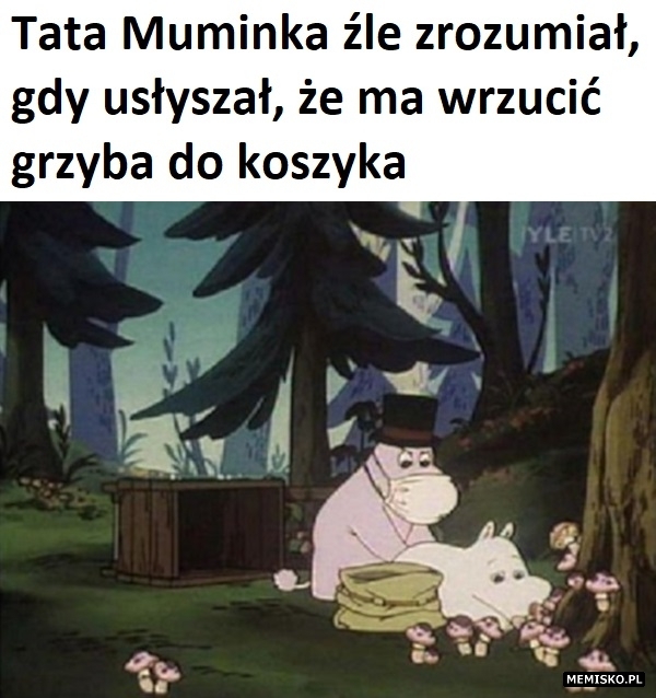 Samotna grzybiarka poszukiwana