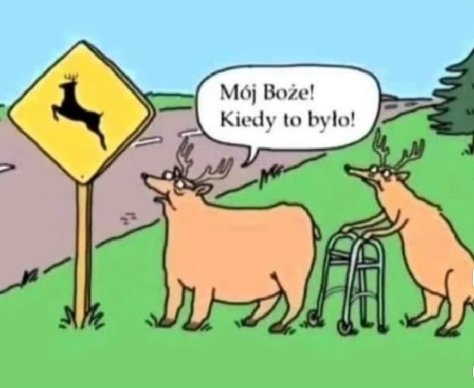 😎😎😎