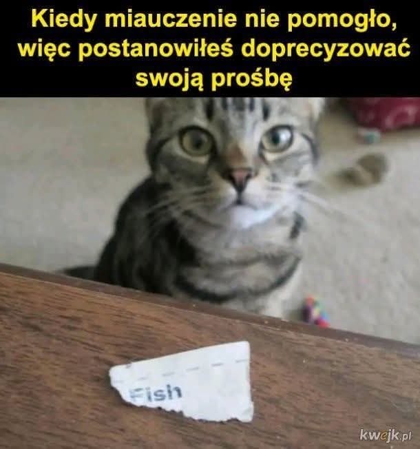 Tematycznie