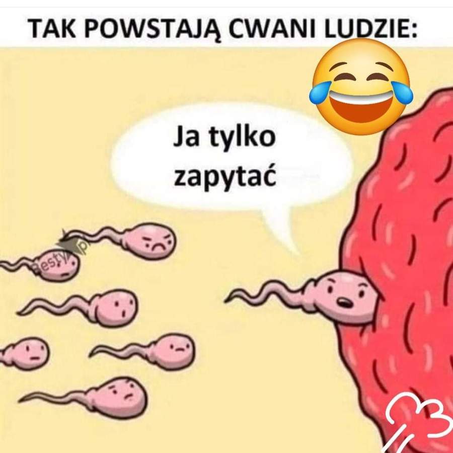 Bez kultury... 