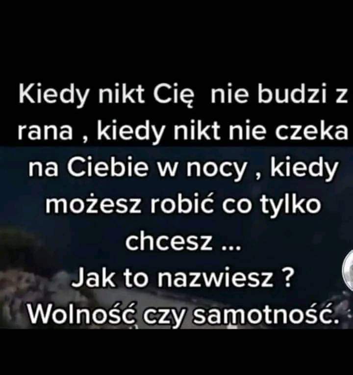 Wolność? 