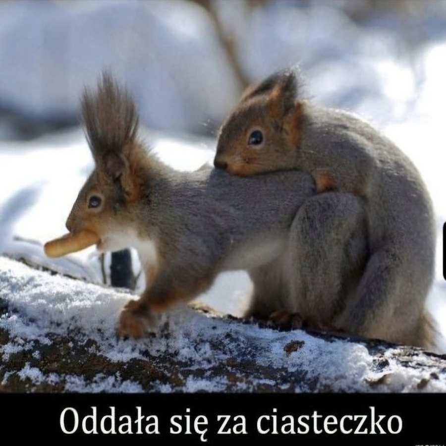 Jeśli nie wiadomo o co chodzi...to chodzi o pieniądze albo o seks. 