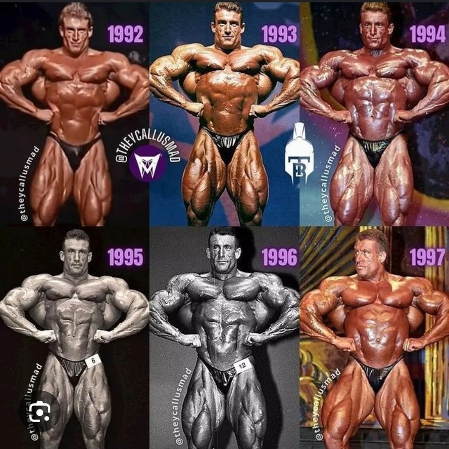 Myszka DY