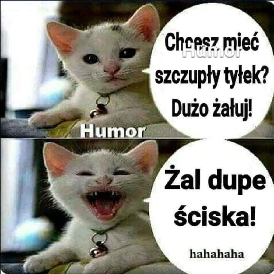 Żałuj