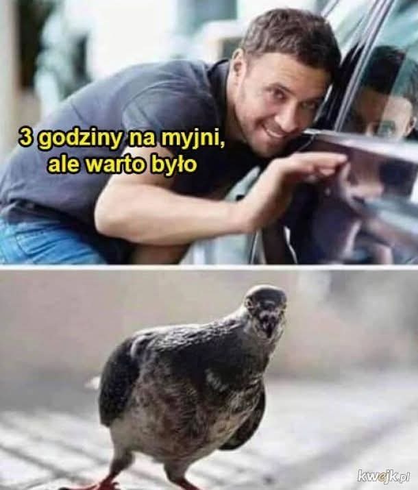 I znowu miałem powtórkę