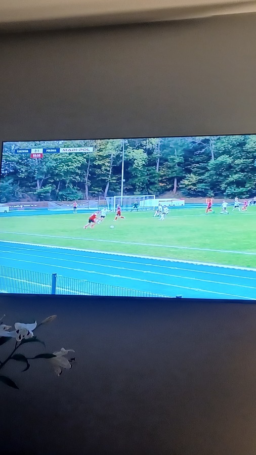 3 liga