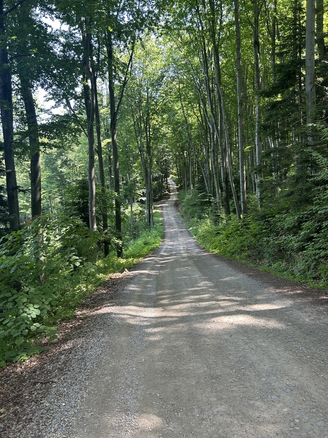 Chłodek 
