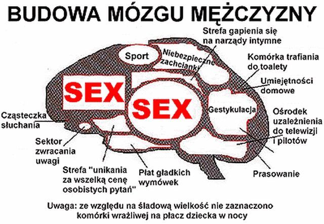 Och ci faceci