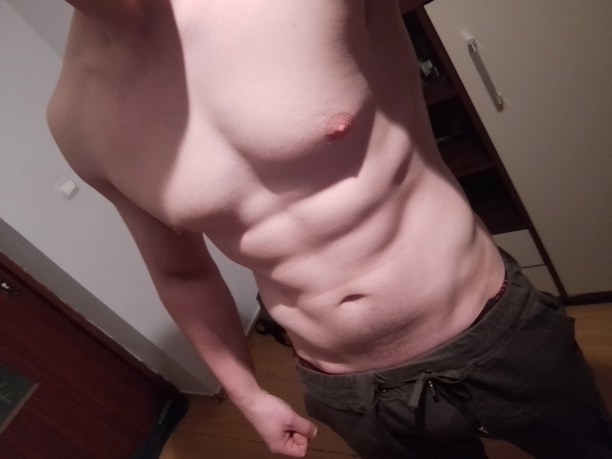 Pies szuka Pani 