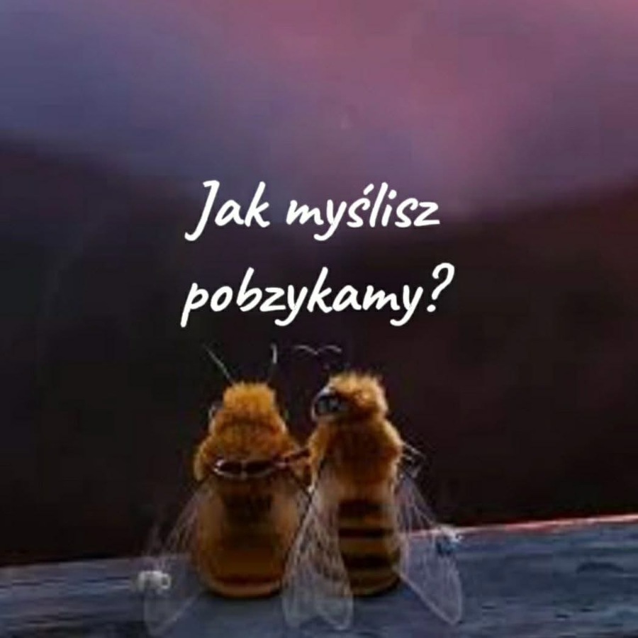 Dylemat 