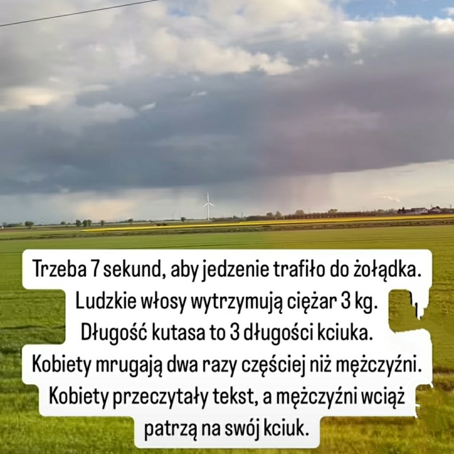Takie tam newsy