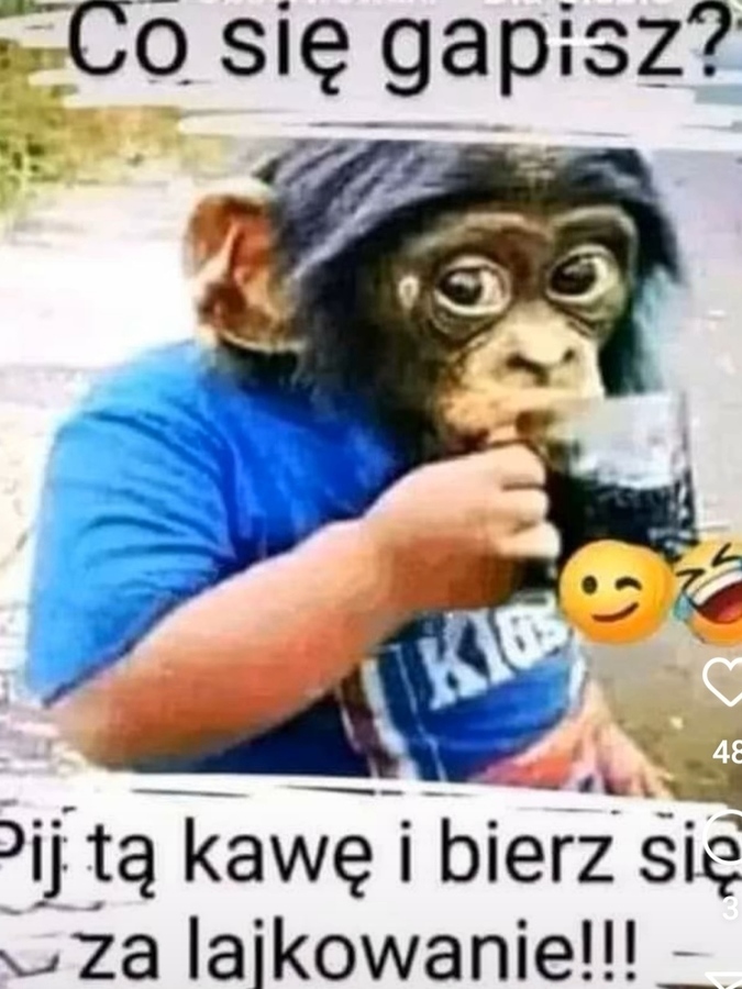 Pochwalony